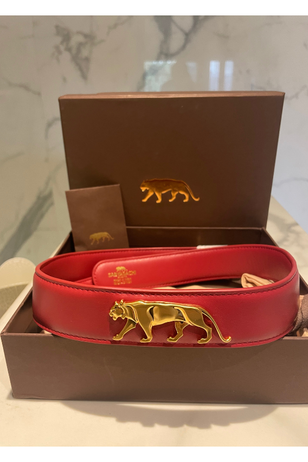 Royal Bengal Tiger Belt Sabyasachi Replica Belt Sabyasachi Logo