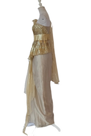 Gold metallic indo western gown